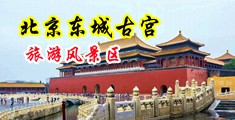 啊啊啊快点操我好难受快点视频中国北京-东城古宫旅游风景区